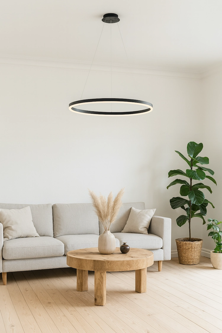 светильник ринг черного цвета на подвесе с направленным вниз светом