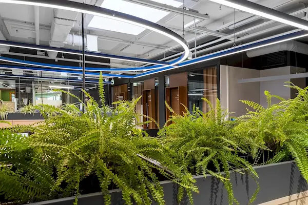 офисная подсветка при помощи светильников линейных и геометрическх форм больших размеров на фоне зеленых растений